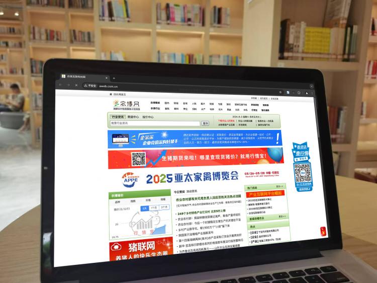 手工羽毛扇網站如何憑借傳統工藝傳承擴大流量？同行都是怎么做的？